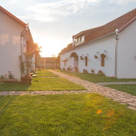 Pensiunea Casa Canda Salasu de Sus Exteriér fotografie