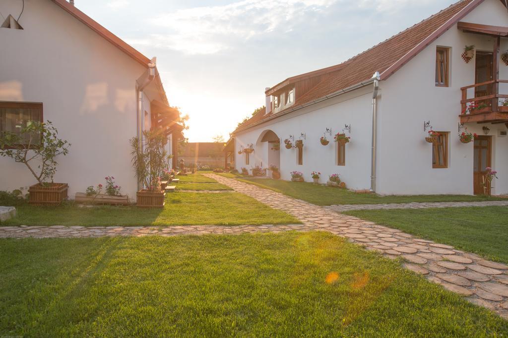 Pensiunea Casa Canda Salasu de Sus Exteriér fotografie