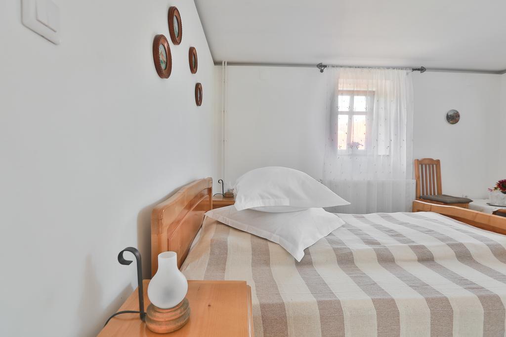 Pensiunea Casa Canda Salasu de Sus Pokoj fotografie