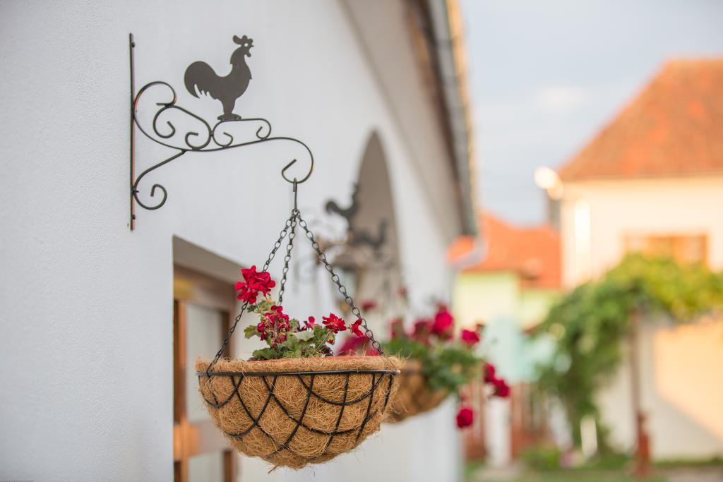 Pensiunea Casa Canda Salasu de Sus Exteriér fotografie