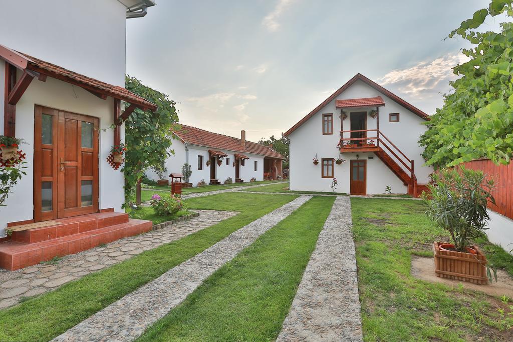 Pensiunea Casa Canda Salasu de Sus Exteriér fotografie