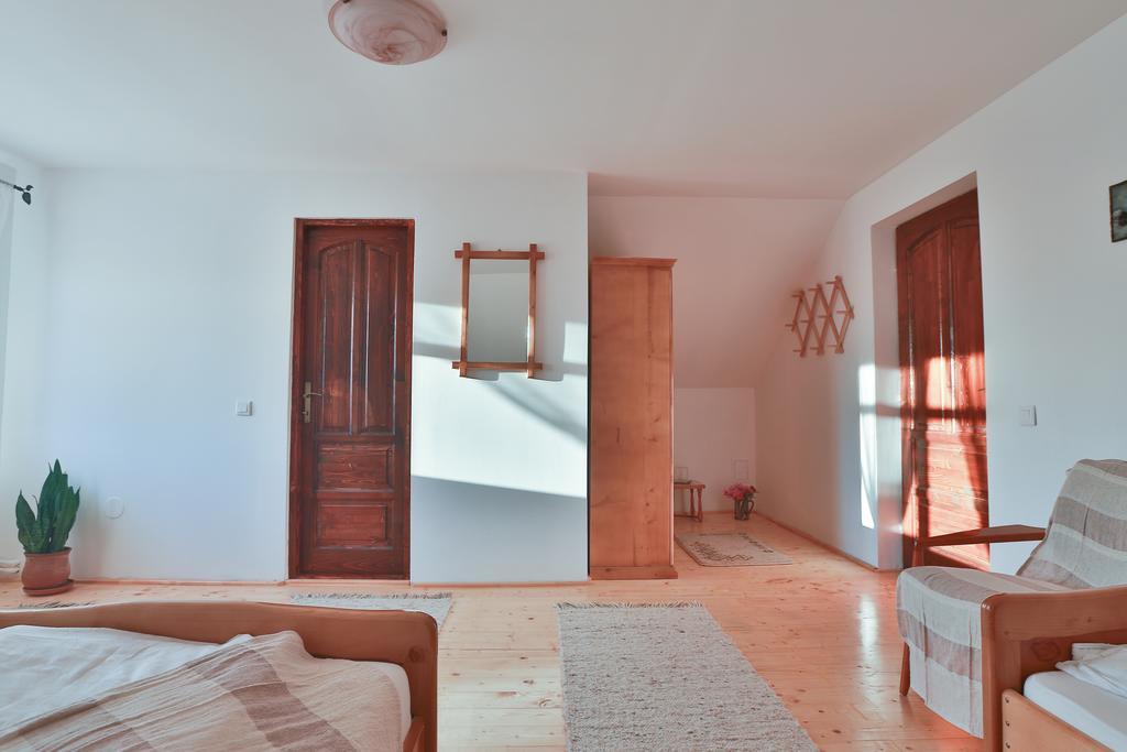 Pensiunea Casa Canda Salasu de Sus Pokoj fotografie